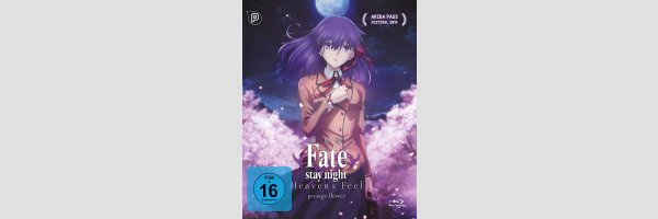 Fate/stay night Heaven's Feel