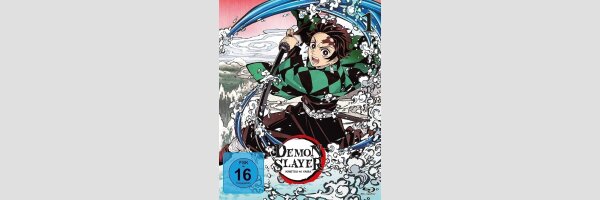 Demon Slayer: Kimetsu no Yaiba