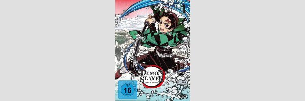 Demon Slayer: Kimetsu no Yaiba