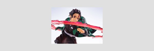 ANIPLEX ConoFig