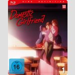 Domestic Girlfriend