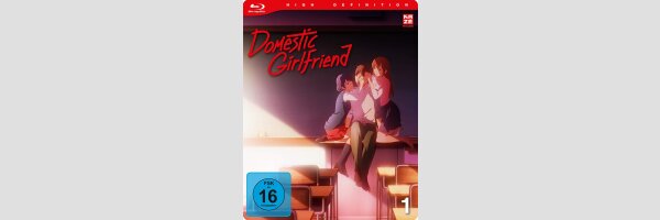 Domestic Girlfriend
