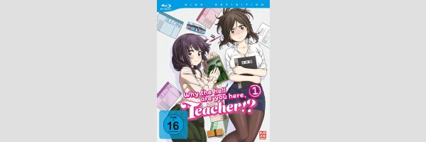 Why the Hell are You Here, Teacher!?