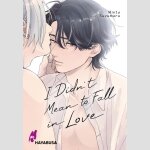 I Didn\'t Mean to Fall in Love | 恋をするつもりはなかった