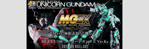 MGEX 1/100 [Master Grade Extreme]