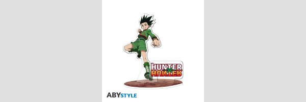 HUNTER x HUNTER