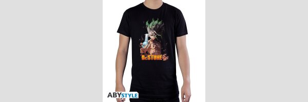 Dr. Stone