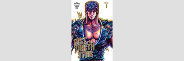 FIST OF THE NORTH STAR