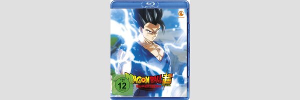 Dragon Ball Super: Super Hero