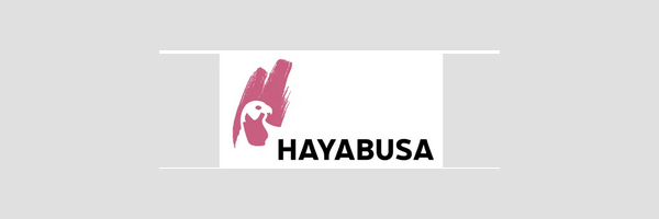 HAYABUSA Mystery