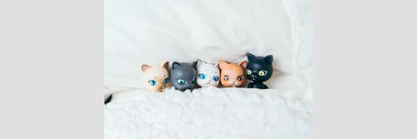 Cat Dolls