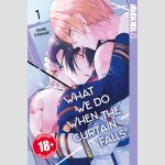 What We Do When the Curtain Falls | 幕が下りたら僕らは番