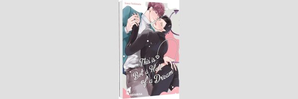 This Is But a Hell of a Dream | これはあくまで夢なので