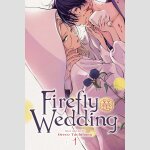 Firefly Wedding | ホタルの嫁入り