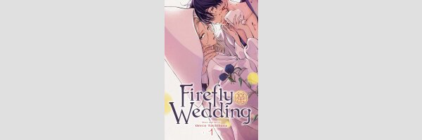 Firefly Wedding | ホタルの嫁入り