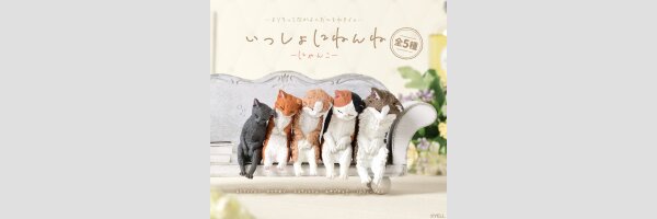Sleep Together Cat