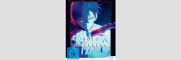 SOLO LEVELING