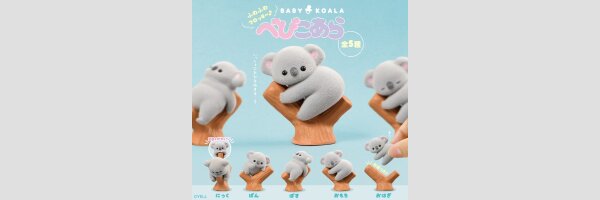 Baby Koala