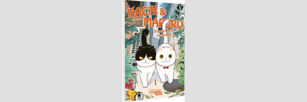HACHI & MARURU Streuner halten zusammen! | ツレ猫 マルルとハチ