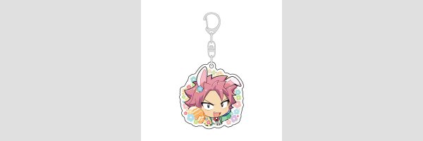 FAIRY TAIL 100 YEARS QUEST