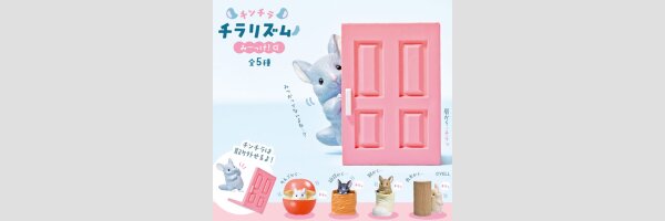 CHINCHILLA Chirarizumu Found!