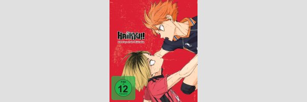 HAIKYU!! Das Play-Off der Müllhalde