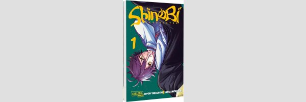 Shinobi Undercover | しのびごと