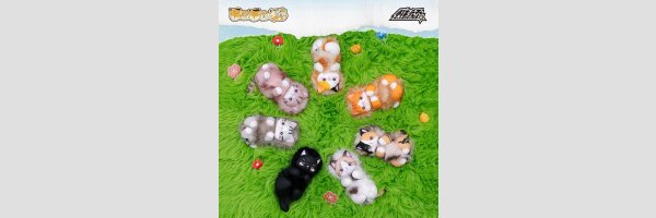 BOBO Cat Series