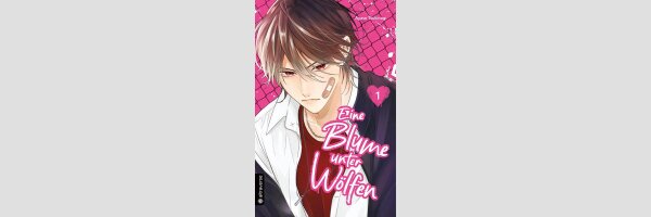 Eine Blume unter Wölfen | 群狼に花