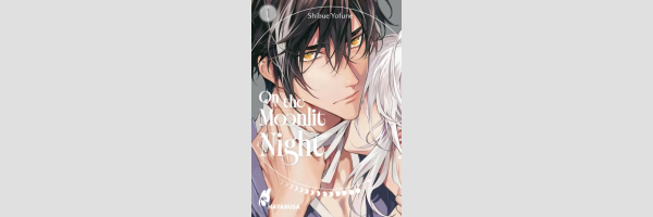 On the Moonlit Night | 白月の晩に