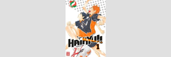 HAIKYU!! | ハイキュー!! (Serie komplett)
