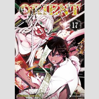 Orient Bd. 17