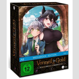 Vermeil in Gold vol. 1 [Mediabook Edition] mit Sammelschuber [Blu Ray]
