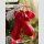 FURYU TENITOL InuYasha