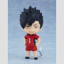 HAIKYU!! Nationals Arc Nendoroid Surprise TF