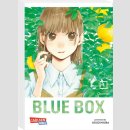 Blue Box Bd. 4