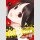 Kaguya-sama: Love is War Bd. 23