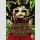 Die linke Hand Gottes und die rechte Hand des Teufels Bd. 1 [Hardcover]