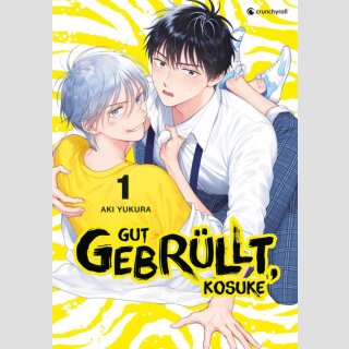 Gut gebrüllt, Kosuke Bd. 1