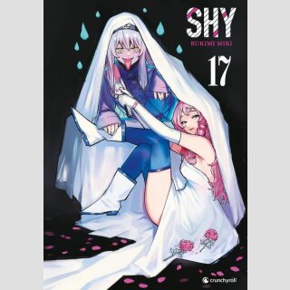 SHY Bd. 17