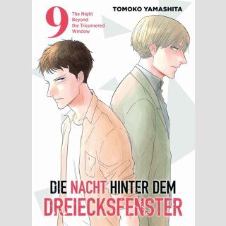 Die Nacht hinter dem Dreiecksfenster Bd. 9