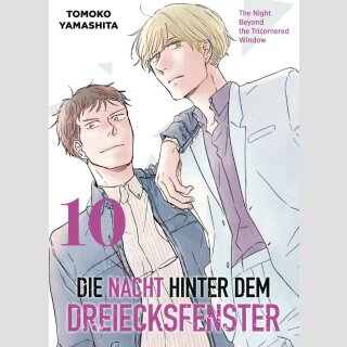Die Nacht hinter dem Dreiecksfenster Bd. 10 (Ende)