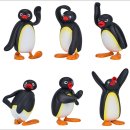 Pingu Emotion Collection! TF