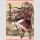 Brides Story vol. 2 [Hardcover]
