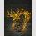 BANDAI SPIRITS FIGUARTS ZERO TOUCHE METALLIQUE Saint Seiya SAGITARIUS