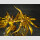 BANDAI SPIRITS FIGUARTS ZERO TOUCHE METALLIQUE Saint Seiya SAGITARIUS