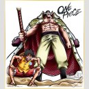 ICHIBANSHO BANDAI SHIKISHI One Piece: Battle Selection