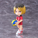 HAIKYU!! PalVerse TF