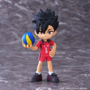 HAIKYU!! PalVerse TF
