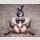 1/4 HENTAI PVC STATUE Rumi Bunny Ver. | 天然美術教師 瑠美 バニーVer. 1/4 完成品フィギュア